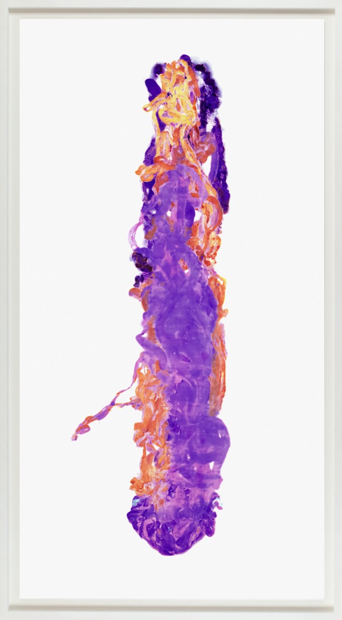 Purple and orange photogram of the impression from a vertical column of intestines, floating on a white background