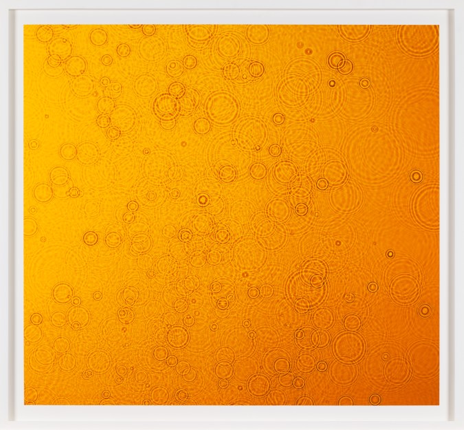 Framed color photograph of a radiant yellow field of color punctuated by concentric circles of water drops