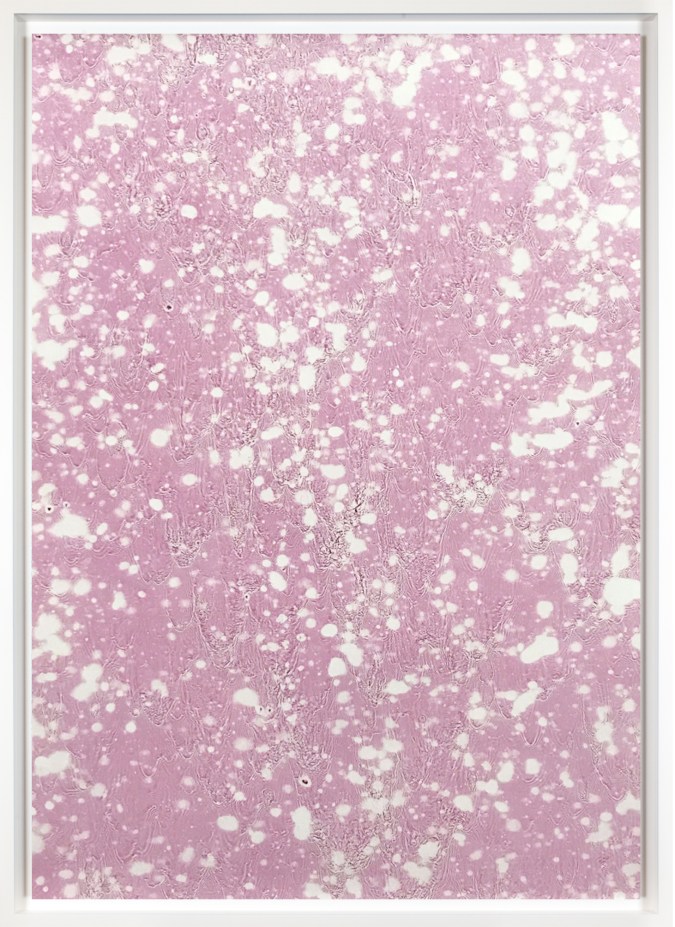 Color photograph of an abstract pattern of white spots on a mauve background