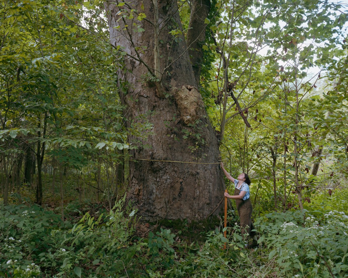 Color image of woman holding rope around a large tree amongst verdant surrounding