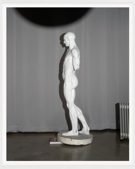 A color photograph shows a white plaster statue of a nude figure in front of a grey background.