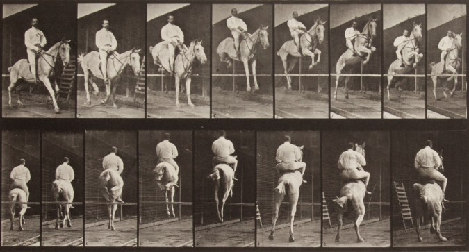 Two horizontal rows of vertical black-and-white photographs of a horse and rider going over a jump, from the front in the top row and from the rear in the bottom row