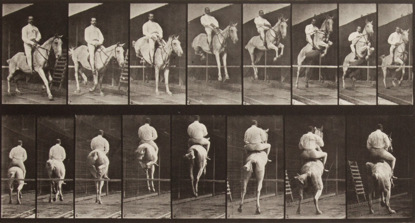 Two horizontal rows of vertical black-and-white photographs of a horse and rider going over a jump, from the front in the top row and from the rear in the bottom row