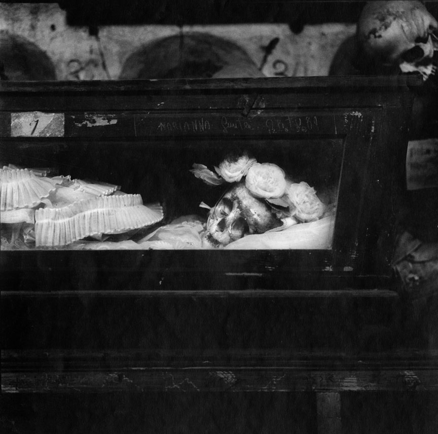 Black-and-white photograph of a skull lying amid silk flowers in a glass case