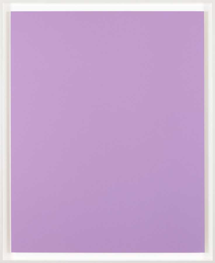 Color image of a solid pink colored print in a white frame