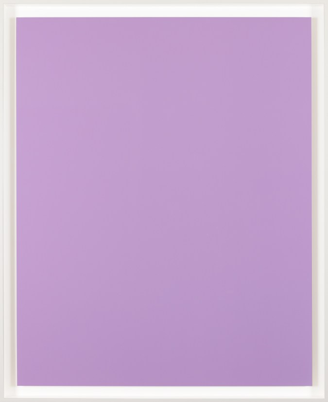 Color image of a solid pink colored print in a white frame