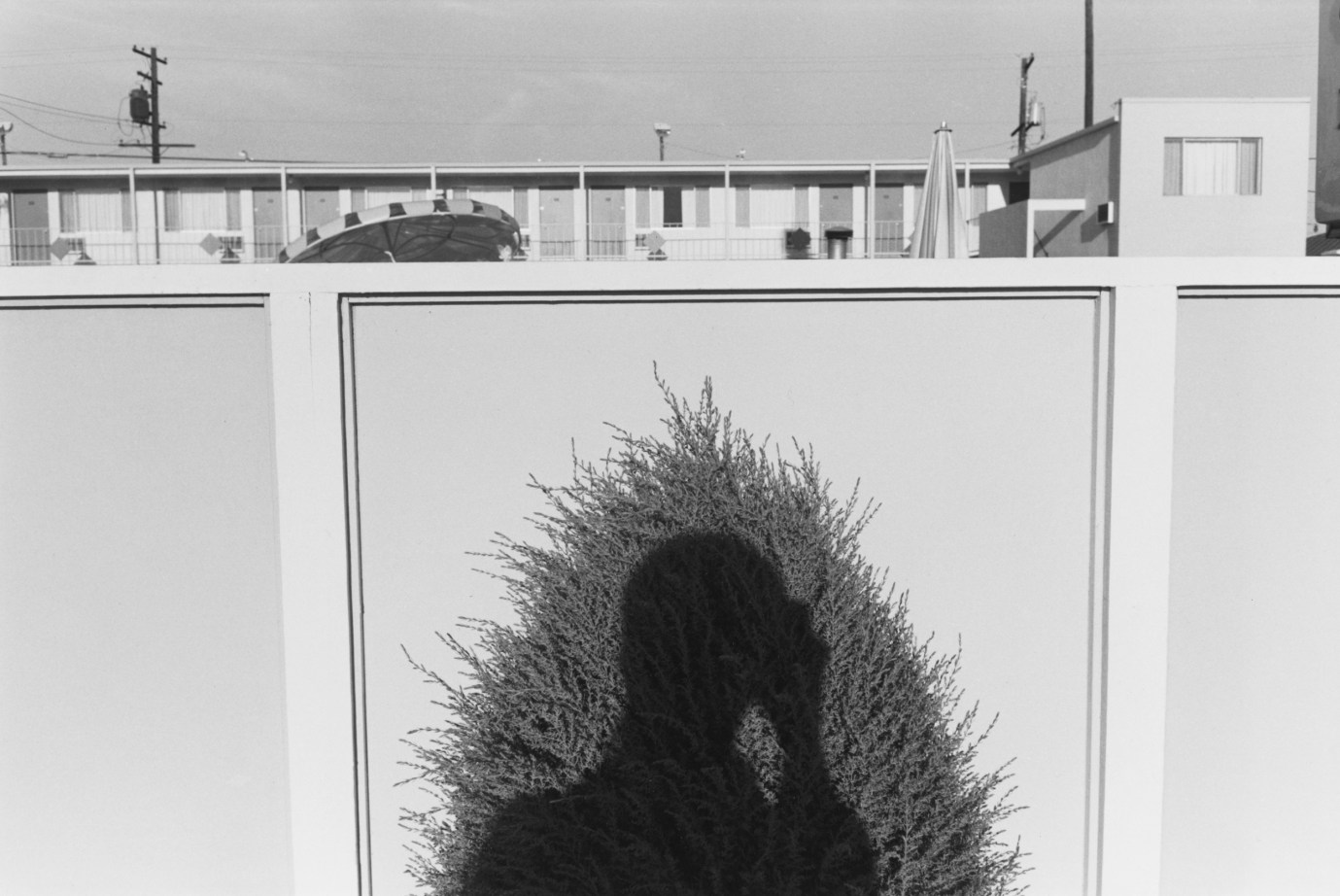 Black and white photograph of a shadow silhouette against a shrub near a motel
