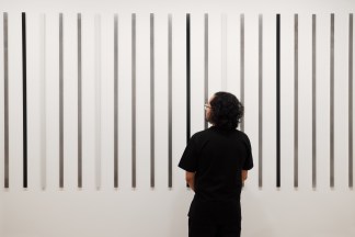 Color image of person viewing gallery with photograms on white gallery wall