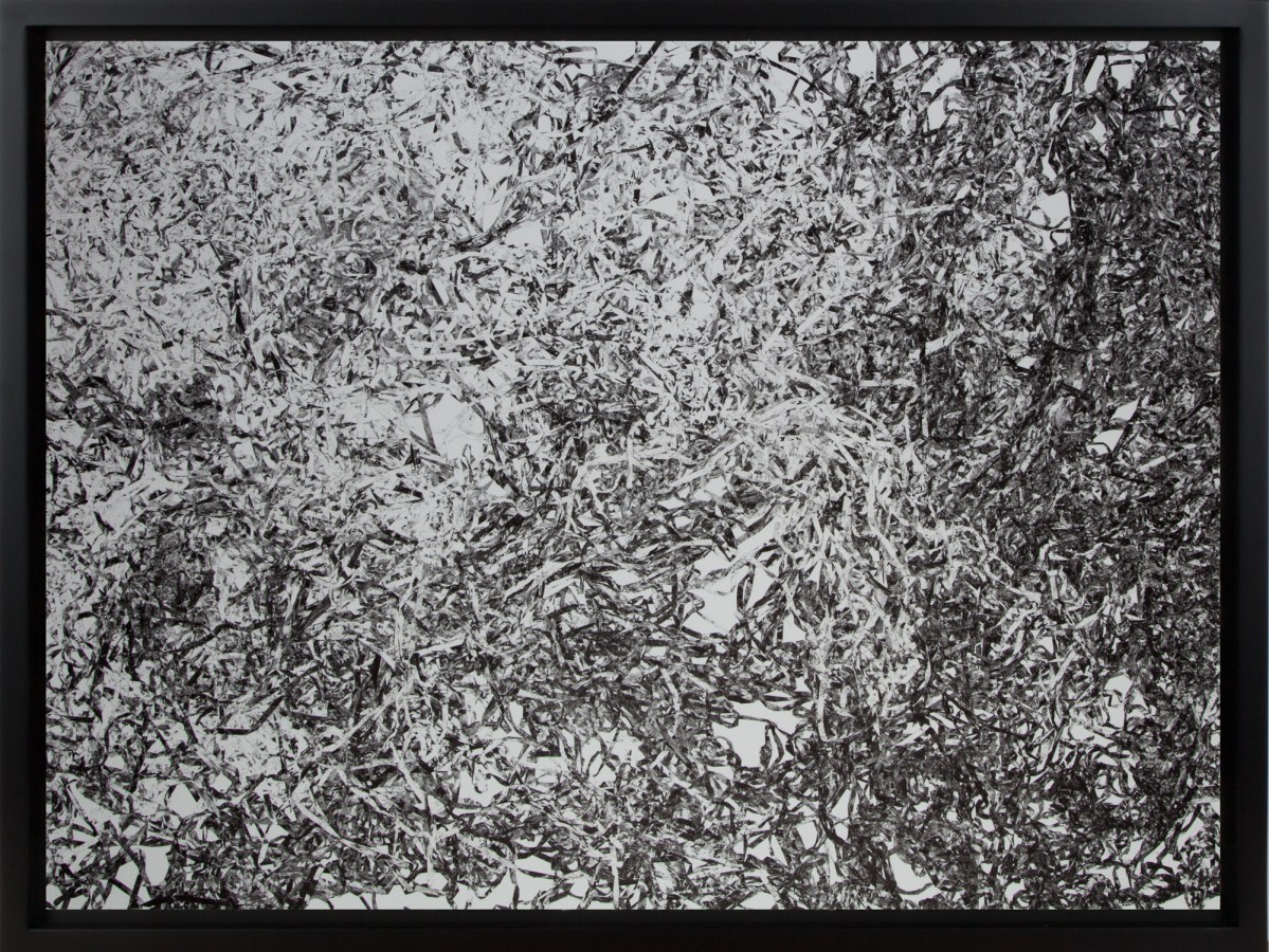 Black and white photograph of piles of tangled cassette tape