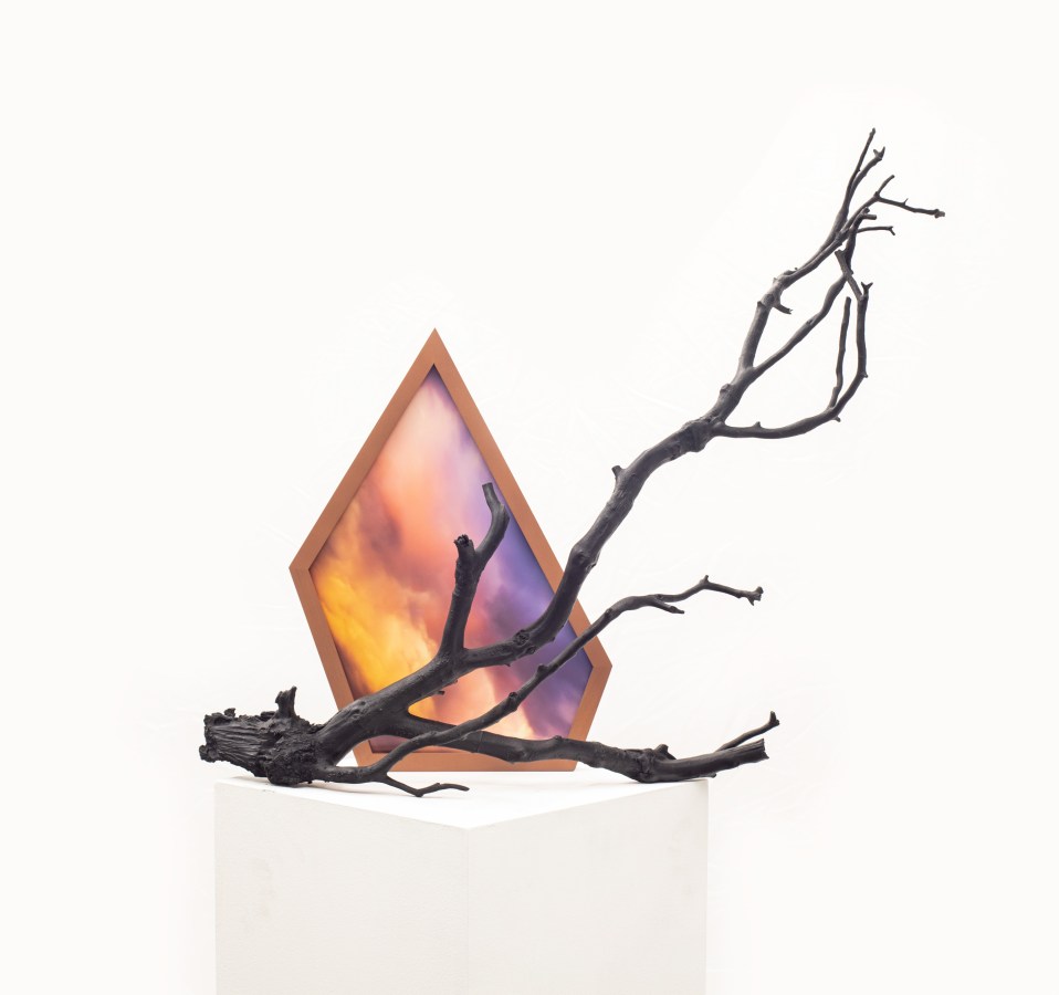 Color image of a mixed media work with bronzed branch and custom framed color photograph depicting a colorful sky