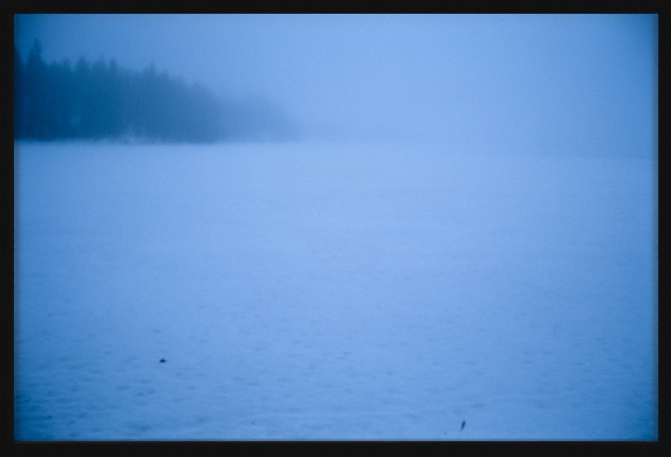 Color photograph of a snowy plain with trees on the horizon in a blue tint framed in black