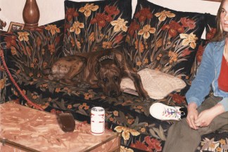 Painting of a dog and a person on a floral print couch