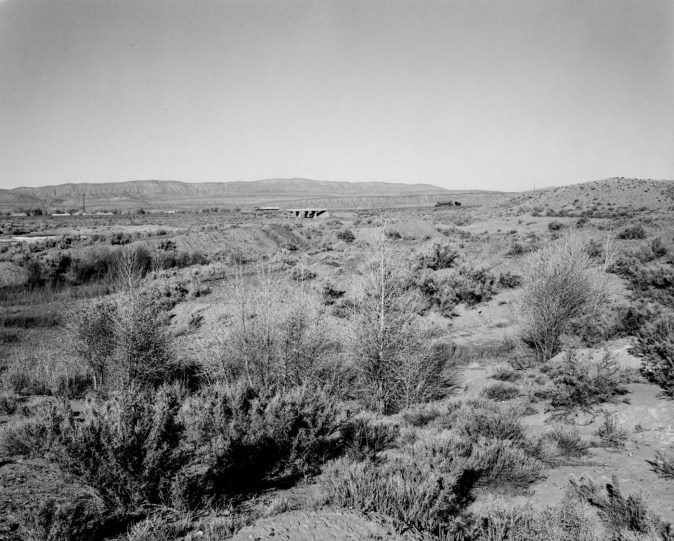 A black and white photograph with plants in the foreground and highway with vehicles in the distance.