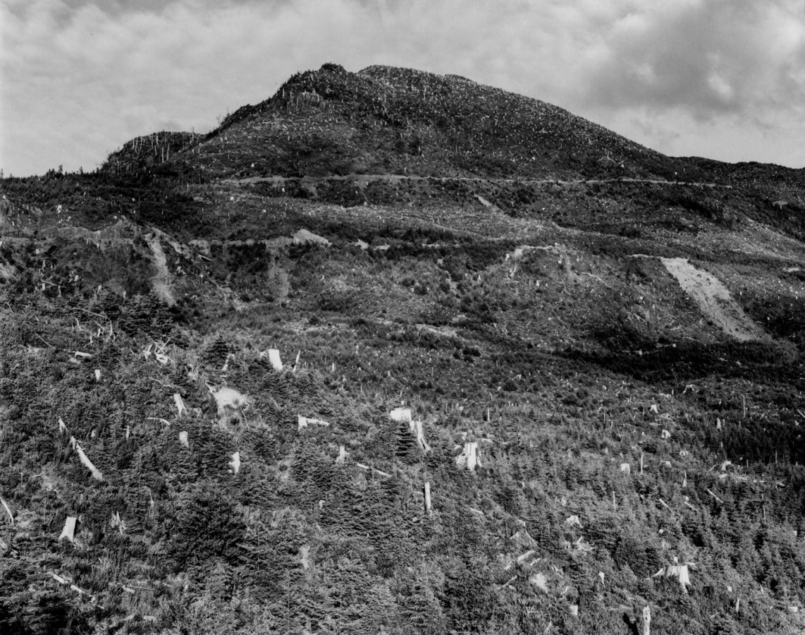A black and white photograph of a burnt landscape with tree stumps and a hill on the horizon against a cloudy sky.