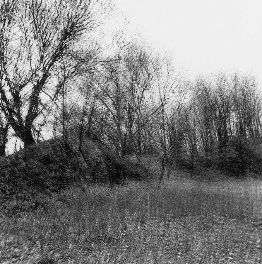 Black-and-white multiple-exposure photograph of bare trees on a hill above a leaf-littered ground