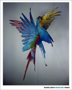 Color image of color poster depicting parrots suspended by black thread