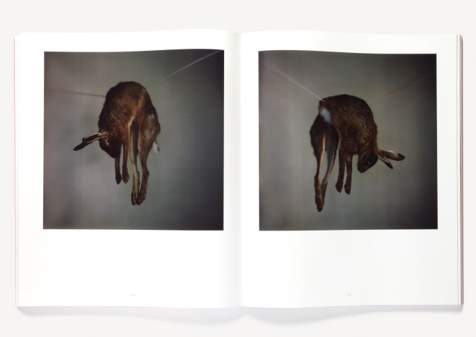 Open book of color photographs