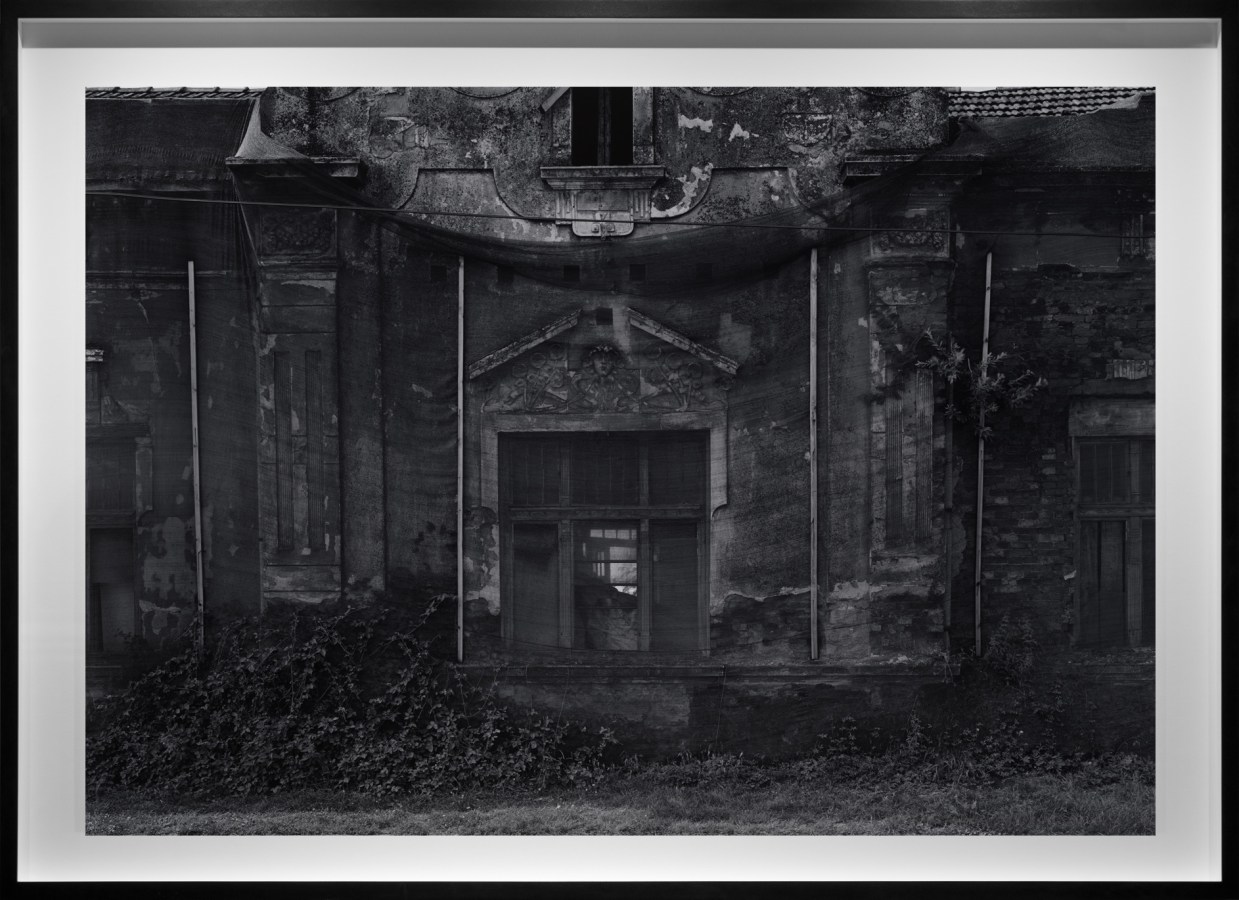 Black-and-white photograph of a derelict entrance way with an overgrown stoop