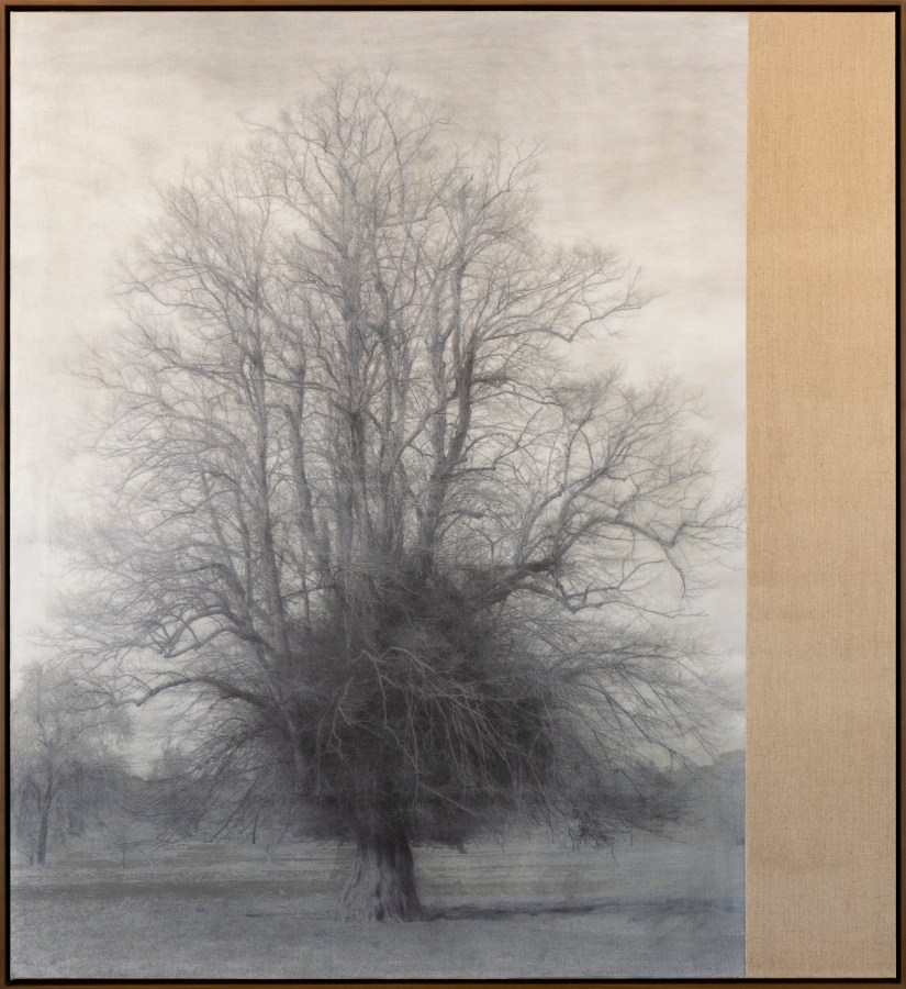 A black and white photograph on canvas shows a tree with bare branches.