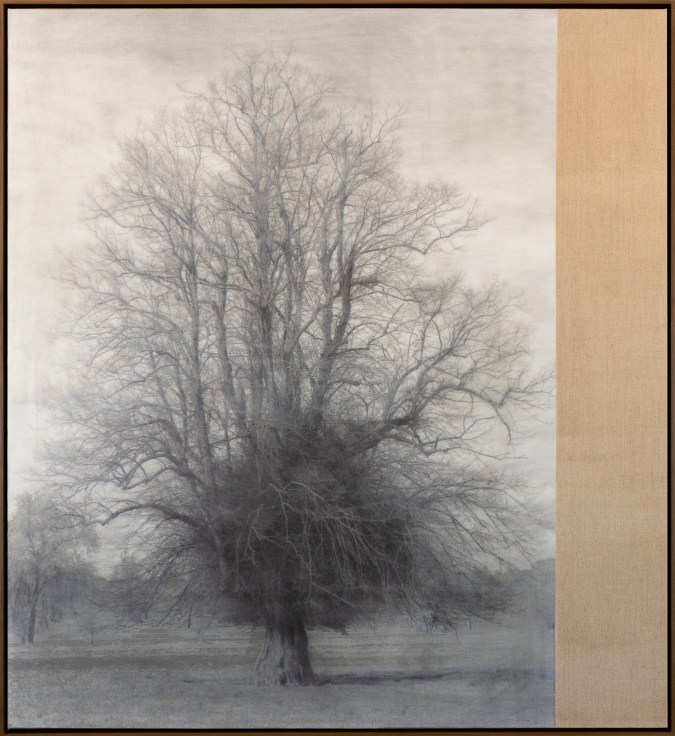 A black and white photograph on canvas shows a tree with bare branches.