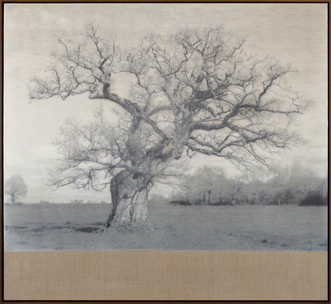 Color image of a mixed media artwork depicting a tree printed in black and white on brown canvas framed in a dark wood