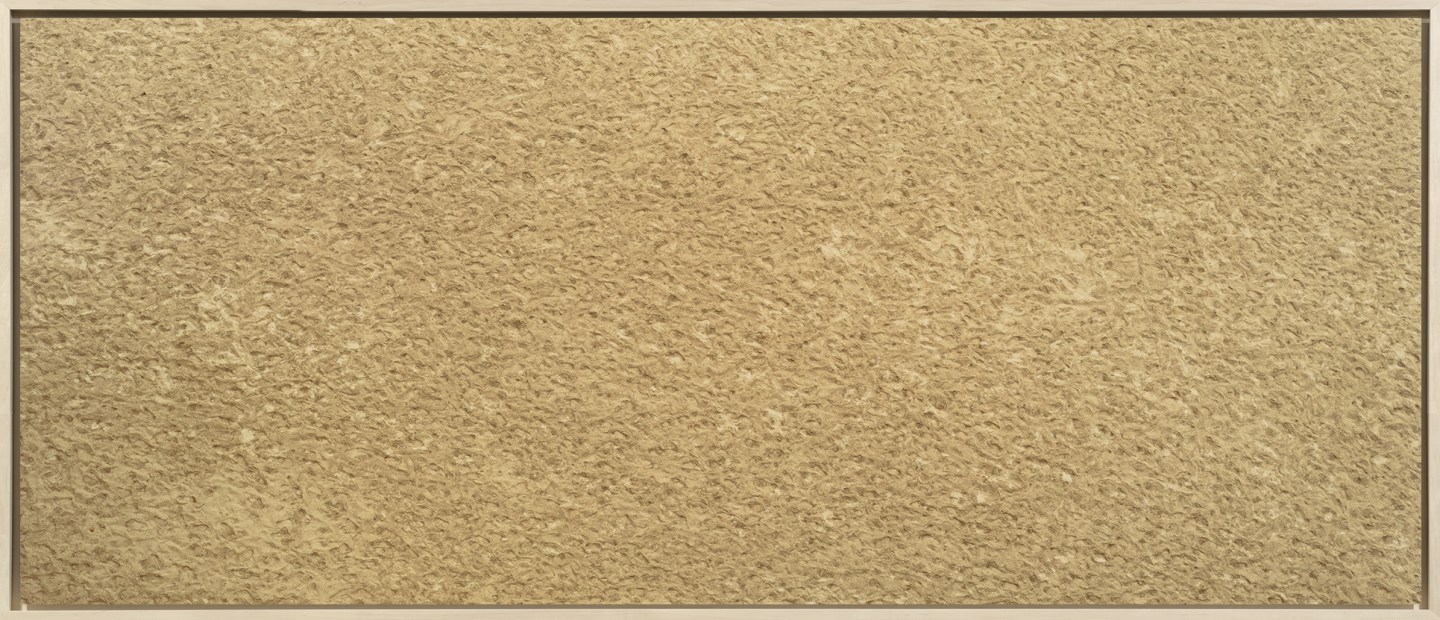 Color photograph of a sandy beach with impressions of footprints framed in bleached wood