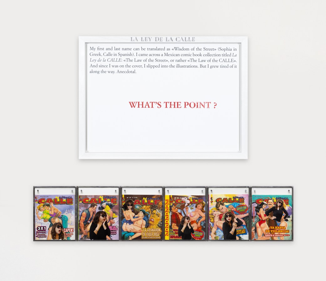 Color image of an artwork consisting of a white framed text panel over a suite of six comic books in metal frames on a white wall