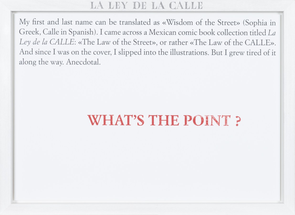 Color image of a white framed text panel with a red stamp of text reading 'What's the Point?'