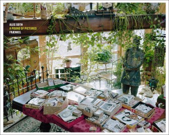 Color poster of a photograph of a table with a maroon tablecloth, entirely covered in scattered boxes of photographs. Foliage droops down overhead and a statue stands watching the table in the background.