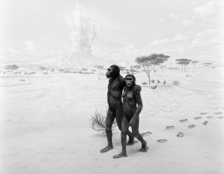Black and white photograph of a museum diorama of two early humans crossing a savannah
