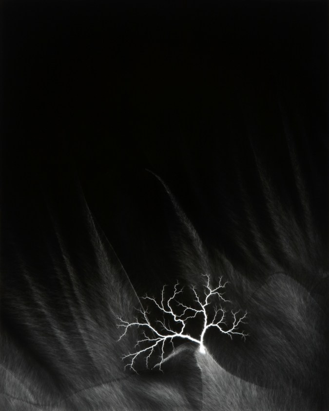 Black and white photograph of lighting striking