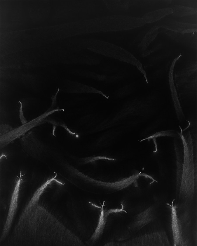 Black and white photograph of lighting striking