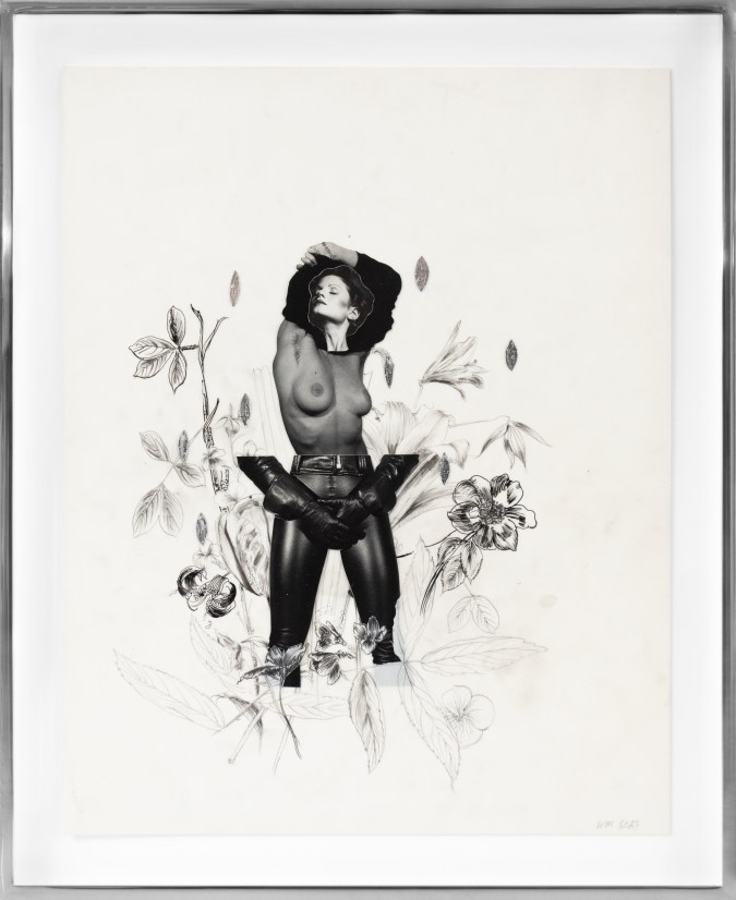 Color image of black and white mixed media collage depicting a semi nude female figure amongst flowers framed in aluminum
