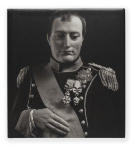Image of a book cover depicting a photographic portrait of a wax figurine of Napoleon.