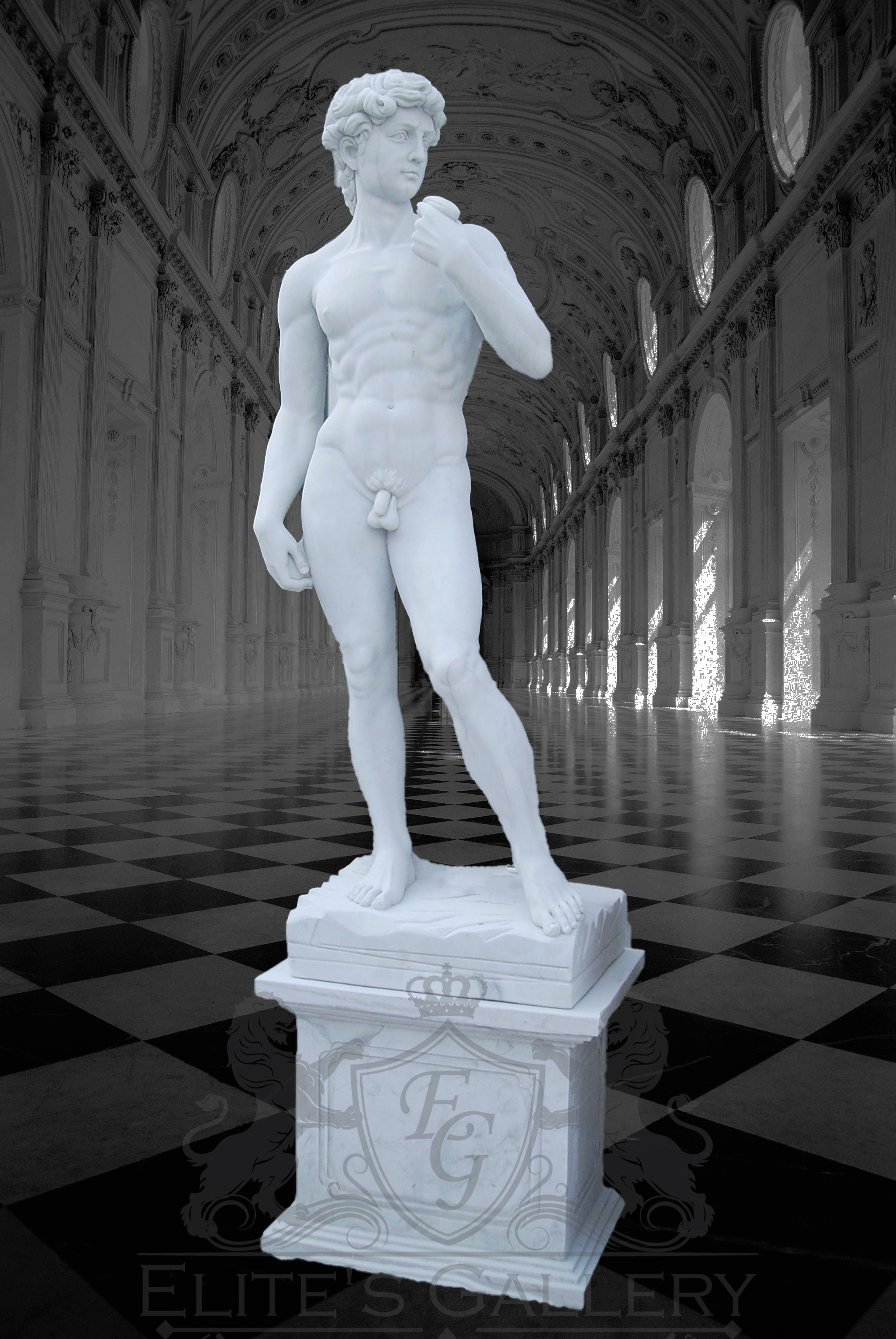 Michelangelo’s David