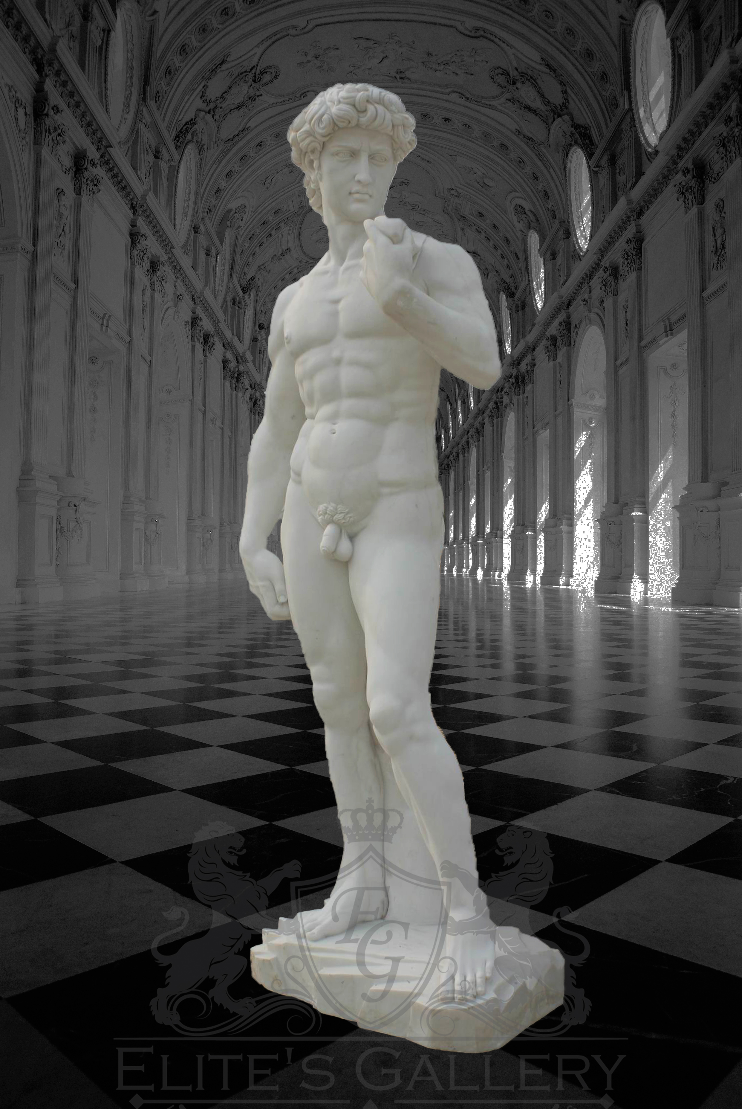 Michelangelo’s David