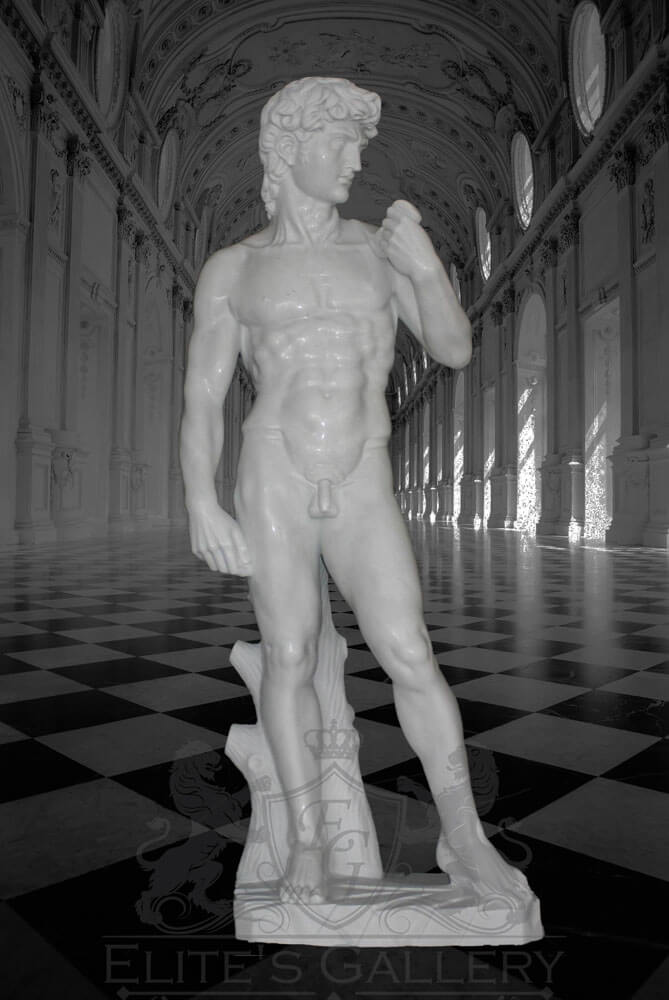 Michelangelo’s David